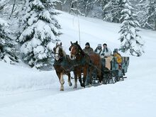 Pferdeschlittenfahrt - Winter